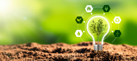 Produkte für biologische Bodensanierung, Grundwassersanierung und Altlastensanierung.